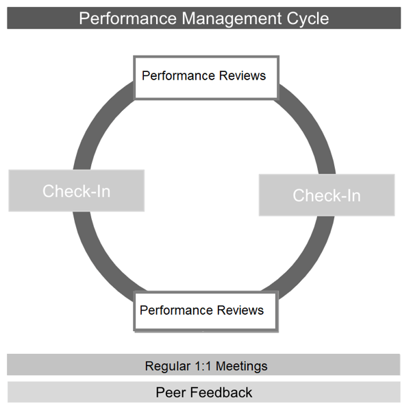 performance management cycle