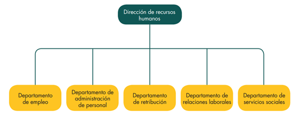 Como Se Organiza El Departamento De Recursos Humanos