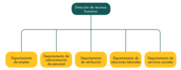 How to organise a human resources department