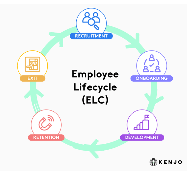 ciclo de vida del empleado